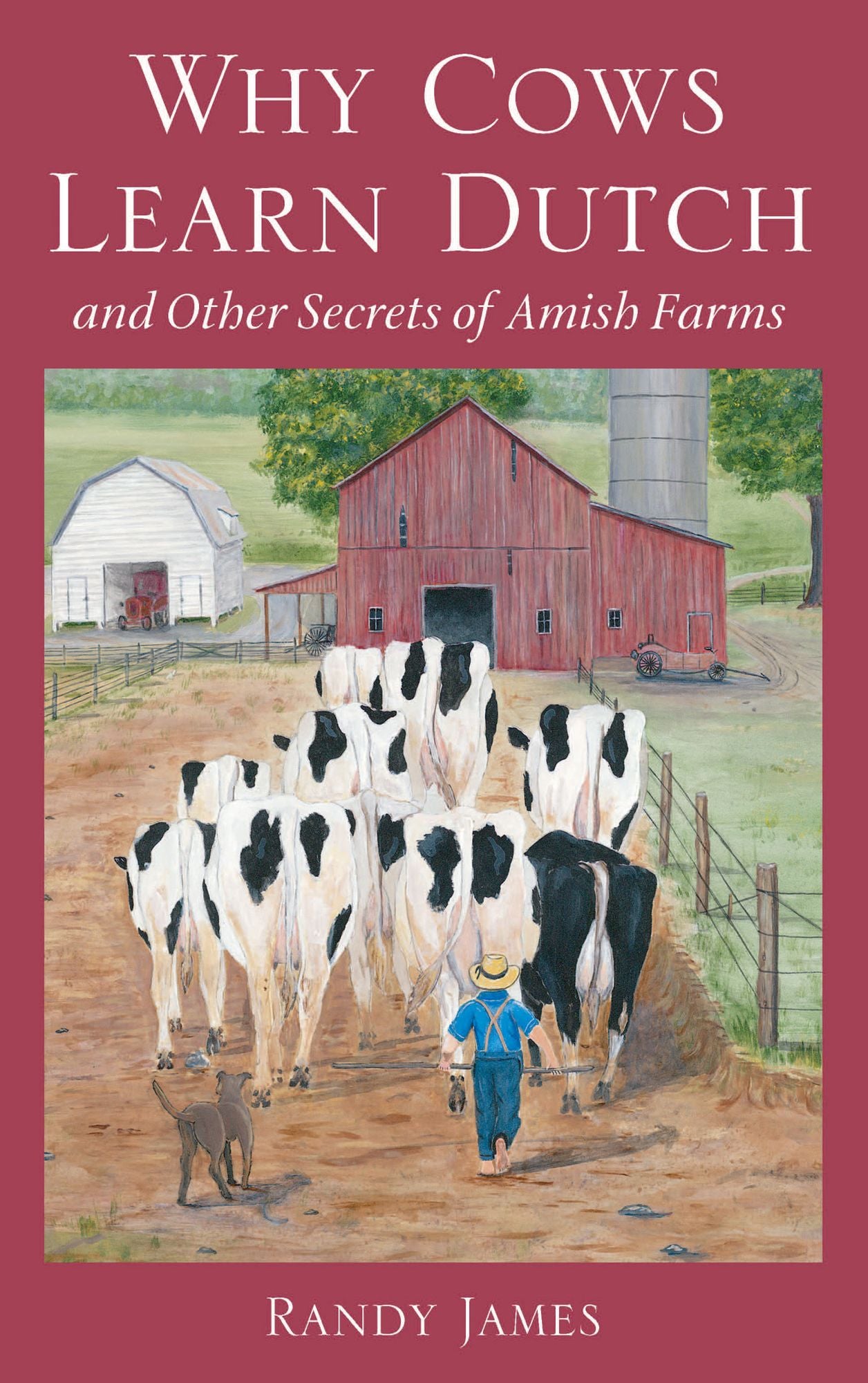 Why Cows Learn Dutch: And Other Secrets of the Amish Farm