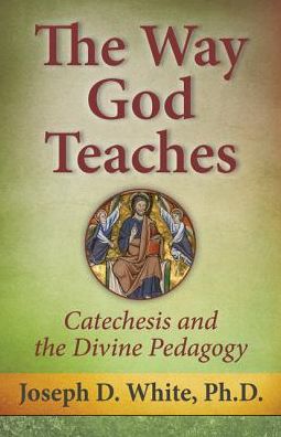 The Way God Teaches: Catechesis and the Divine Pedagogy