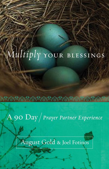 Multiply Your Blessings: A 90 Day Prayer Partner Experience