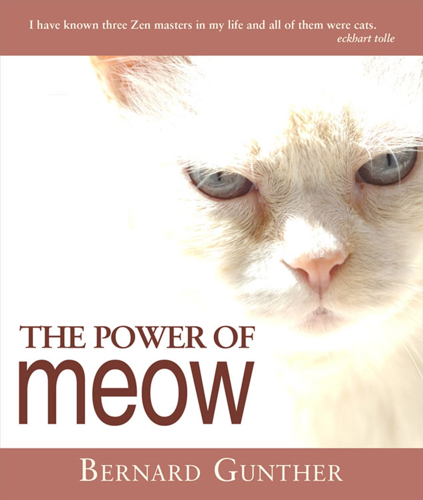 The Power of Meow