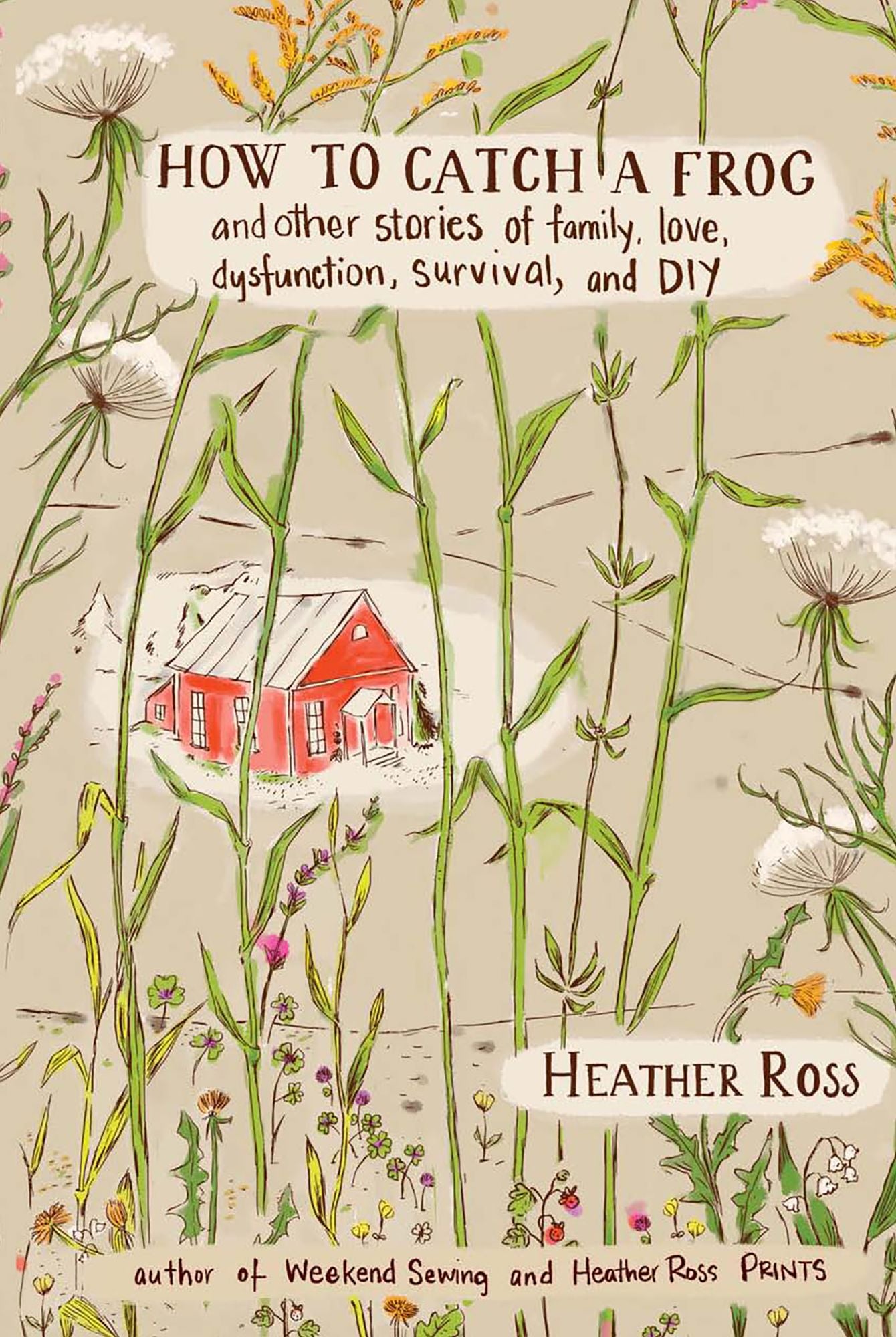 How to Catch a Frog: And Other Stories of Family, Love, Dysfunction, Survival, and DIY