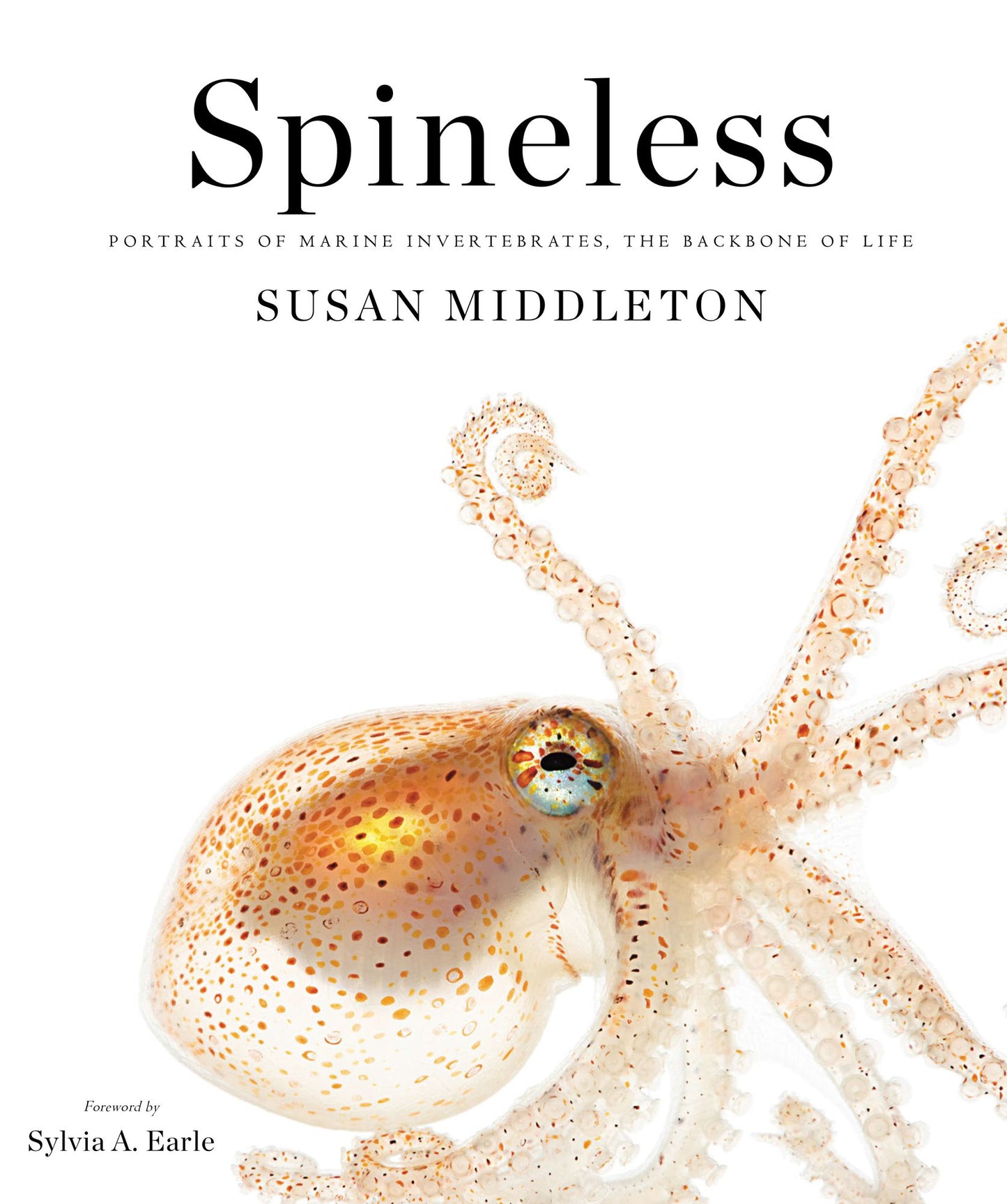 Spineless: Portraits of Marine Invertebrates, the Backbone of Life (PagePerfect NOOK Book)