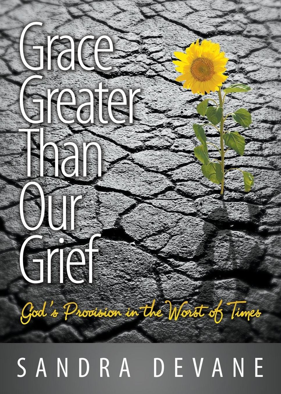 Grace Greater Than Our Grief: God's Provision in the Worst of Times