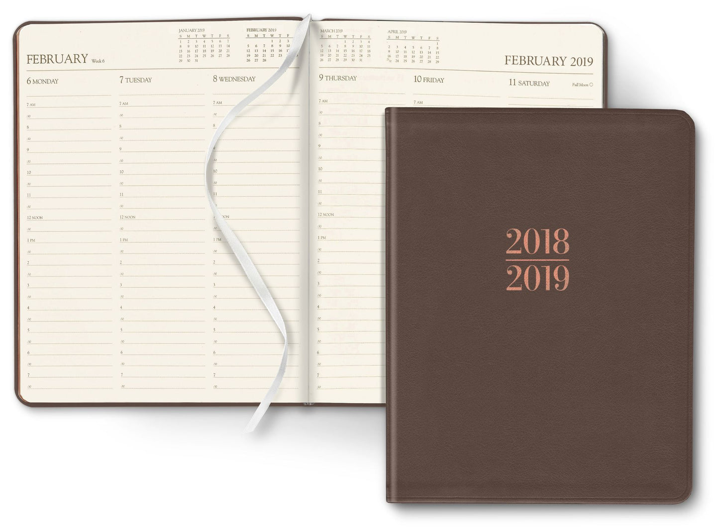2019 18-Month Large Professional Mushroom Cambridge Planner Calendar