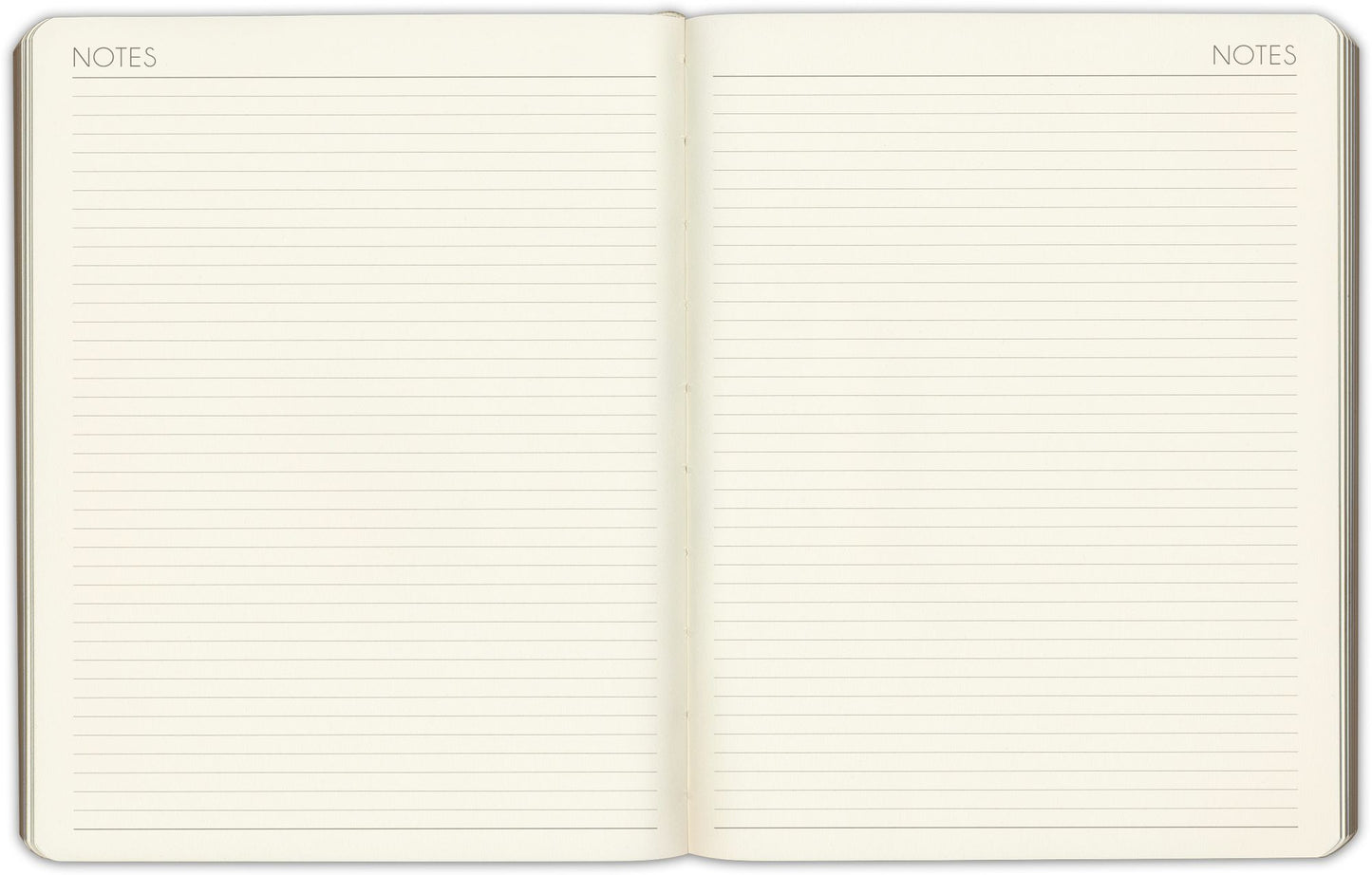 2025 Paper Source Black Leather LG Monthly Planner