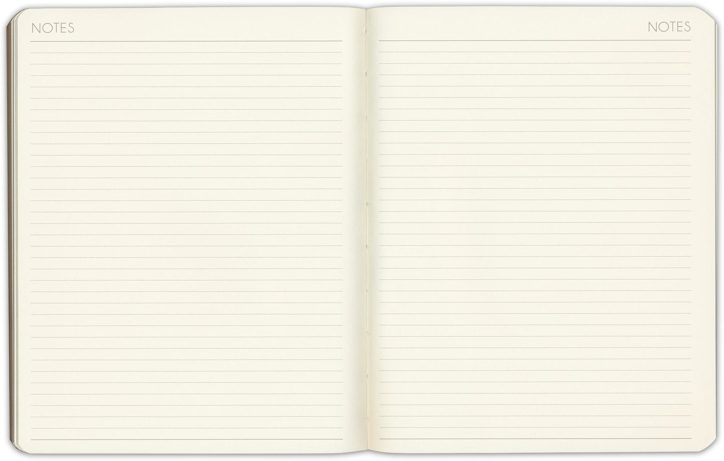 2025 Paper Source Blue Leather Weekly Academic Planner
