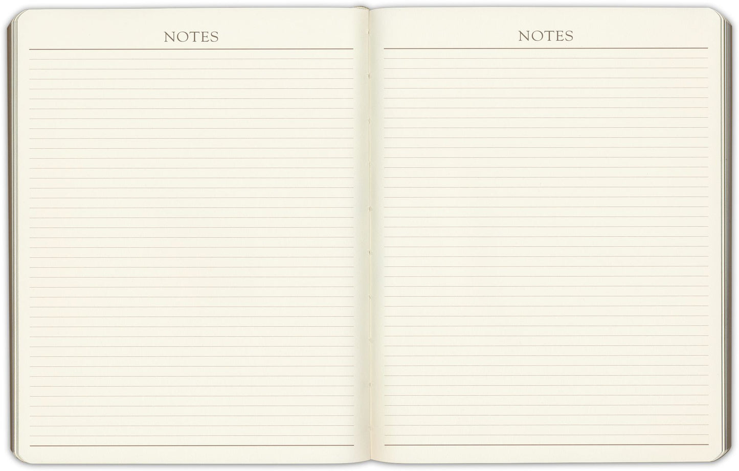 2025 Navy 12M Professional Weekly Desk Planner