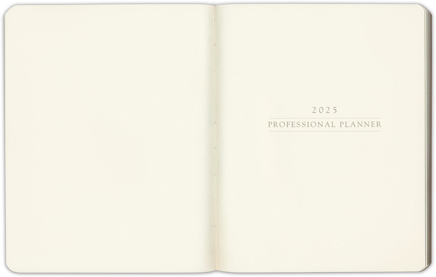 2025 Black 12M Professional Weekly Desk Planner