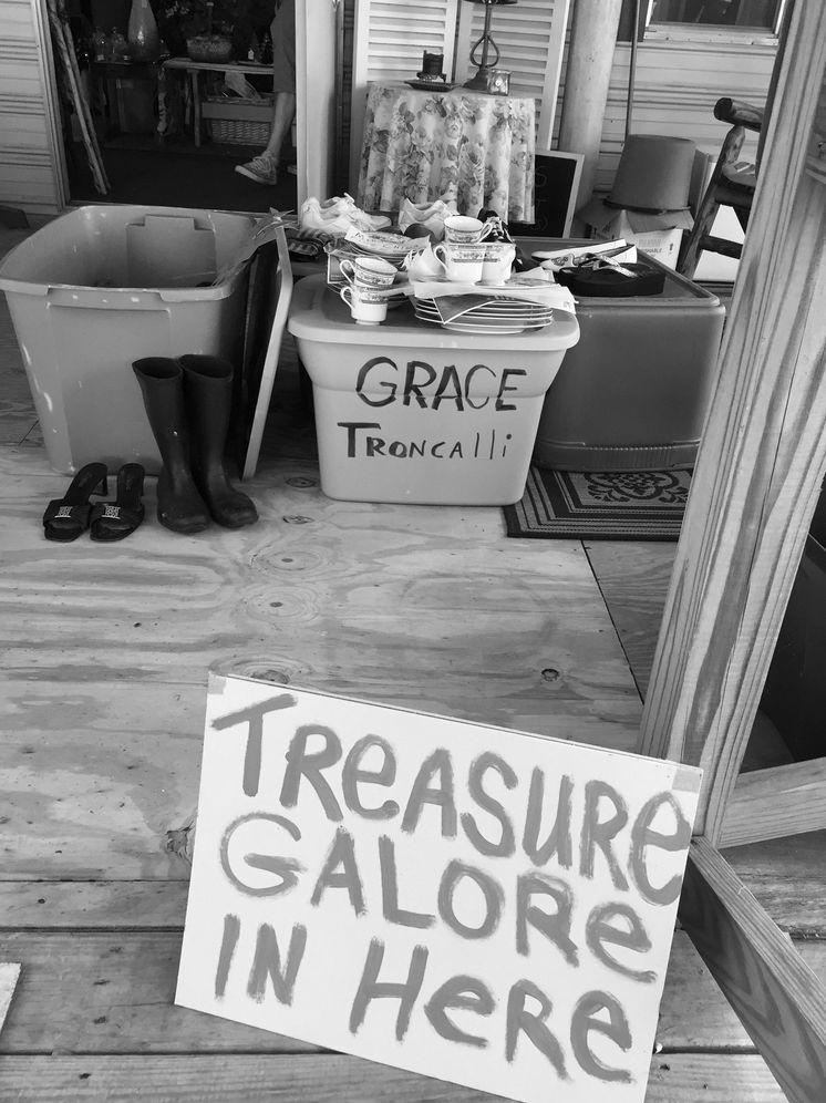 Junk: Digging Through America's Love Affair with Stuff