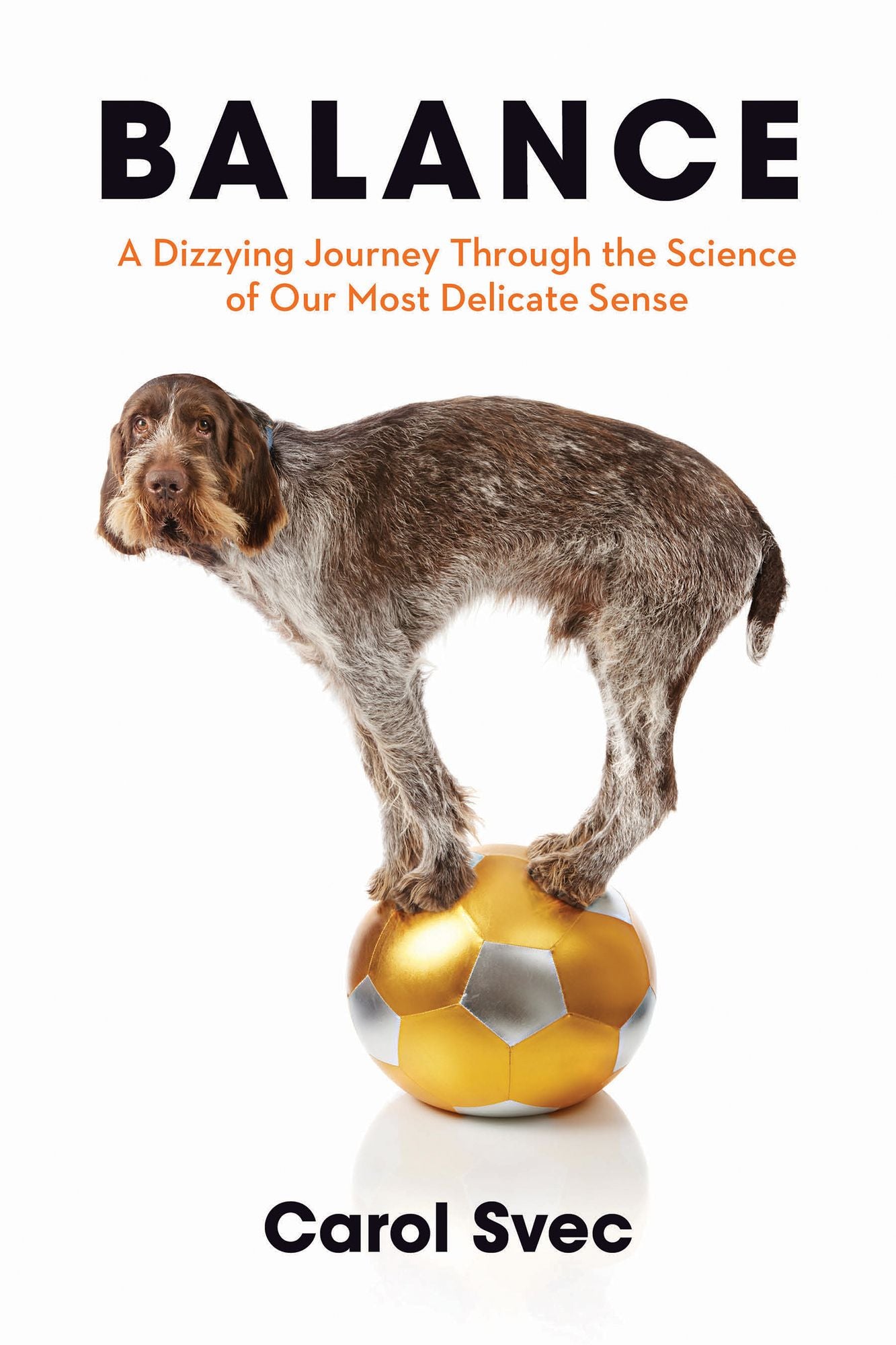 Balance: A Dizzying Journey Through the Science of Our Most Delicate Sense