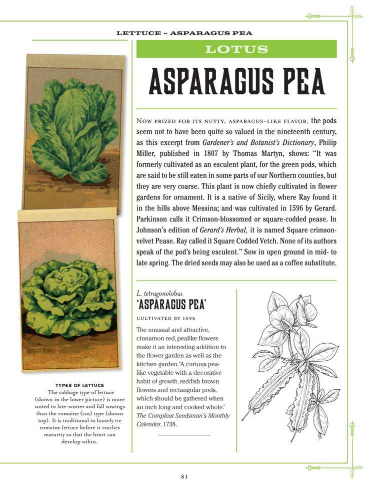 Heirloom Plants: A Complete Compendium of Heritage Vegetables, Fruits, Herbs & Flowers
