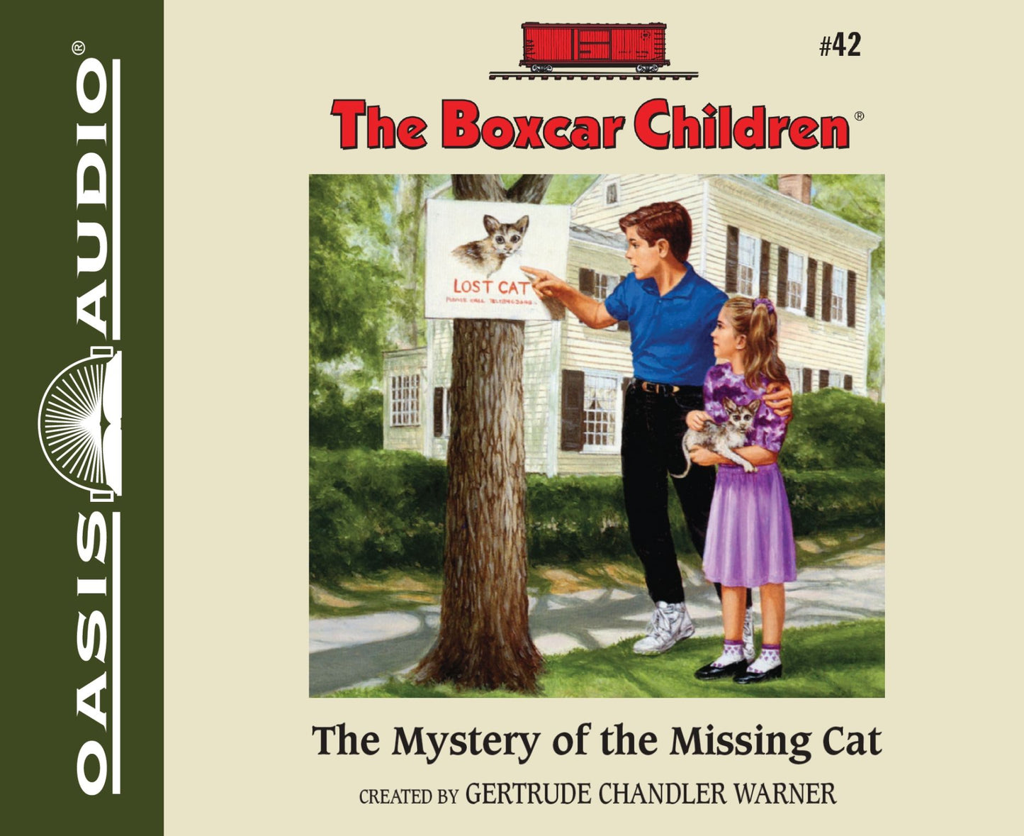 The Mystery of the Missing Cat
