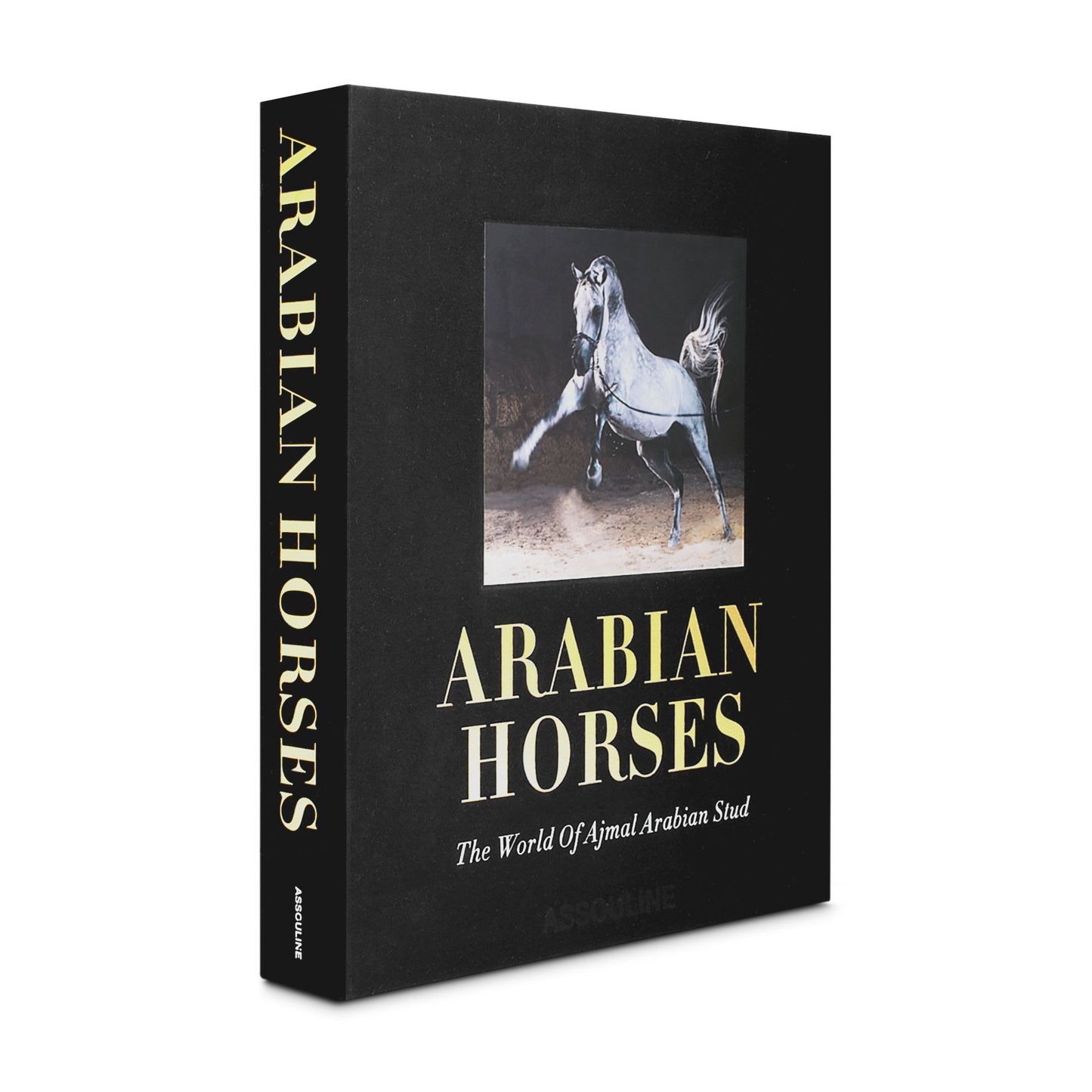 Arabian Horses: The Ultimate Collection of Equine Beauty
