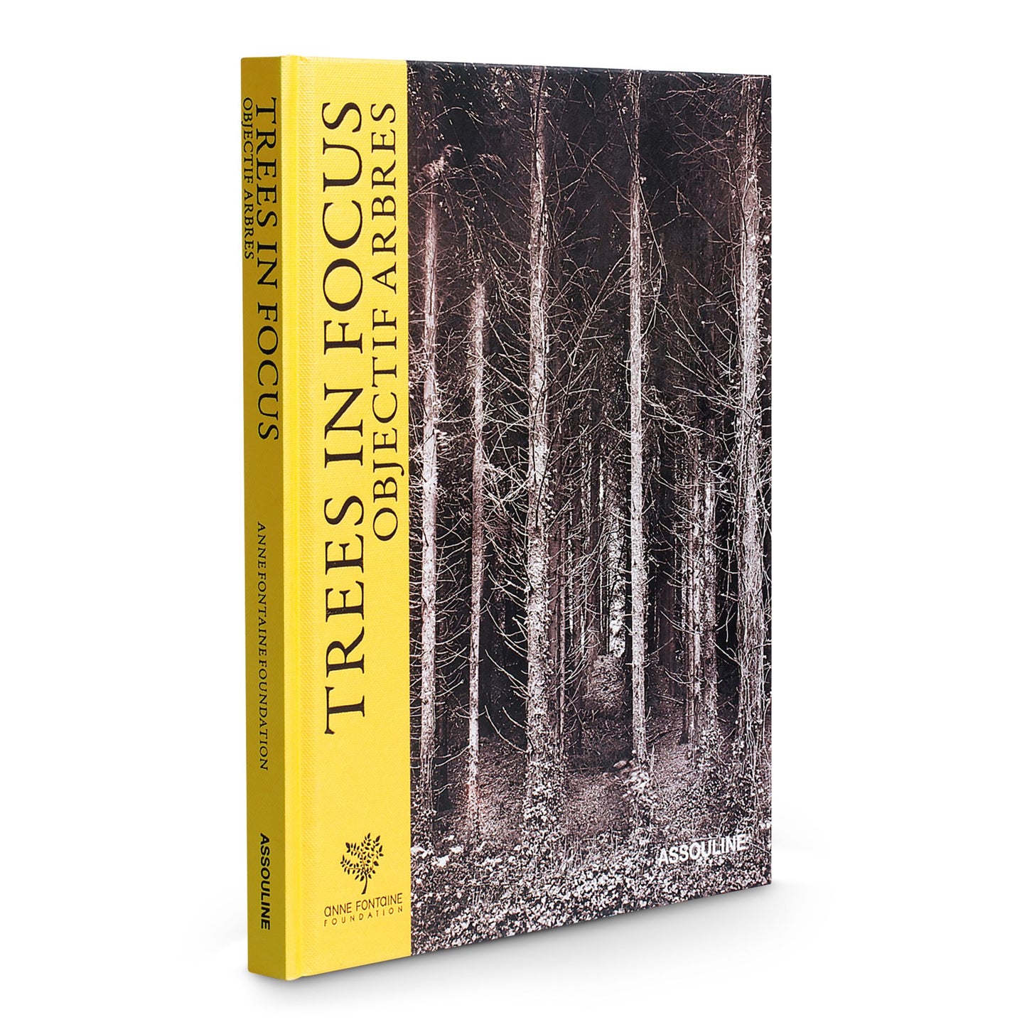 Trees in Focus
