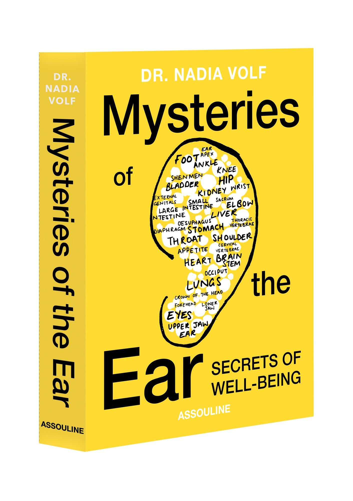 Mysteries of the Ear