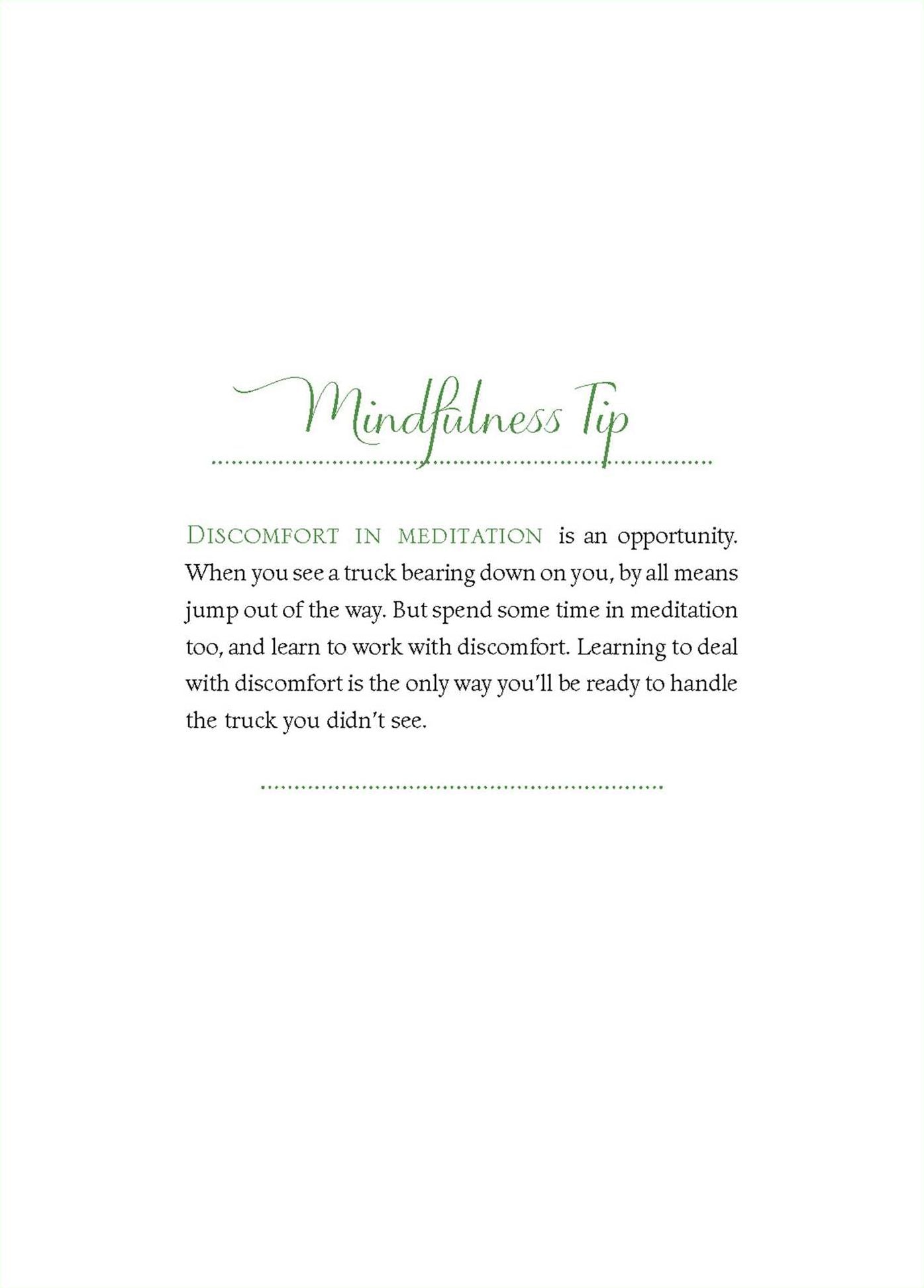 The Mindfulness in Plain English Journal