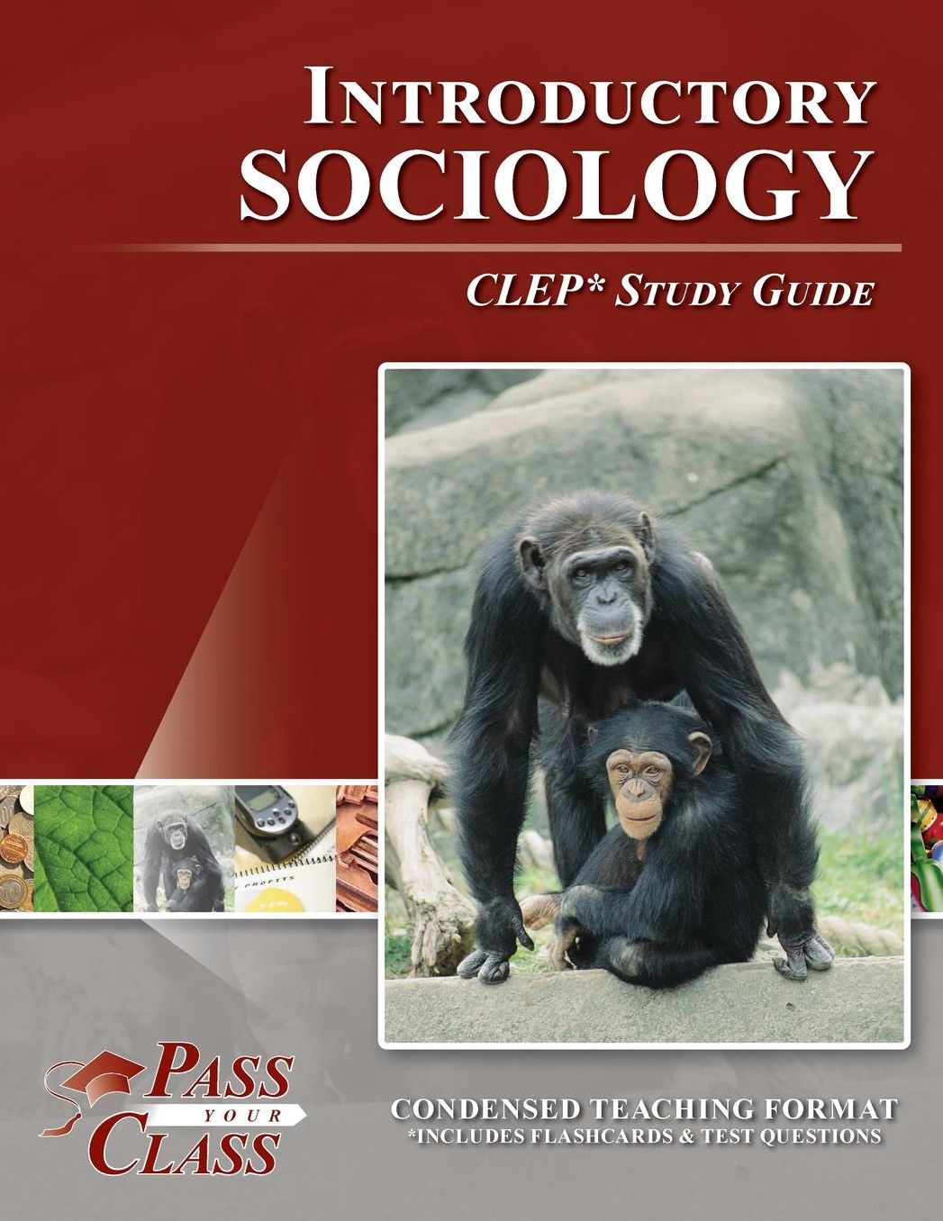 Introductory Sociology CLEP Test Study Guide - PassYourClass