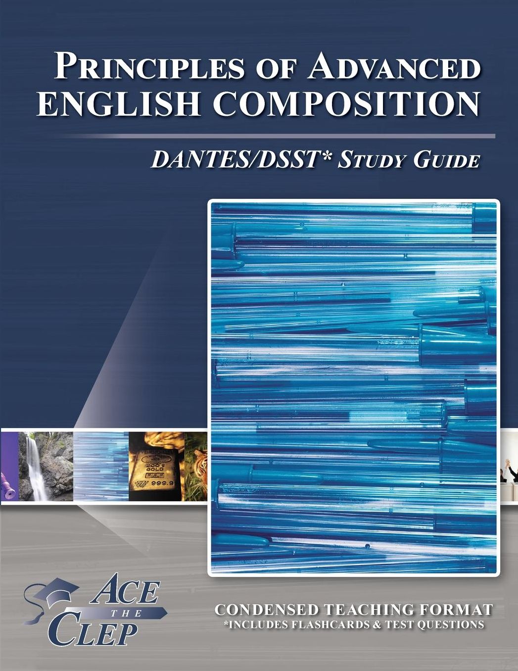 Principles of Advanced English COMPOSITION DANTES/DSST* Study Guide