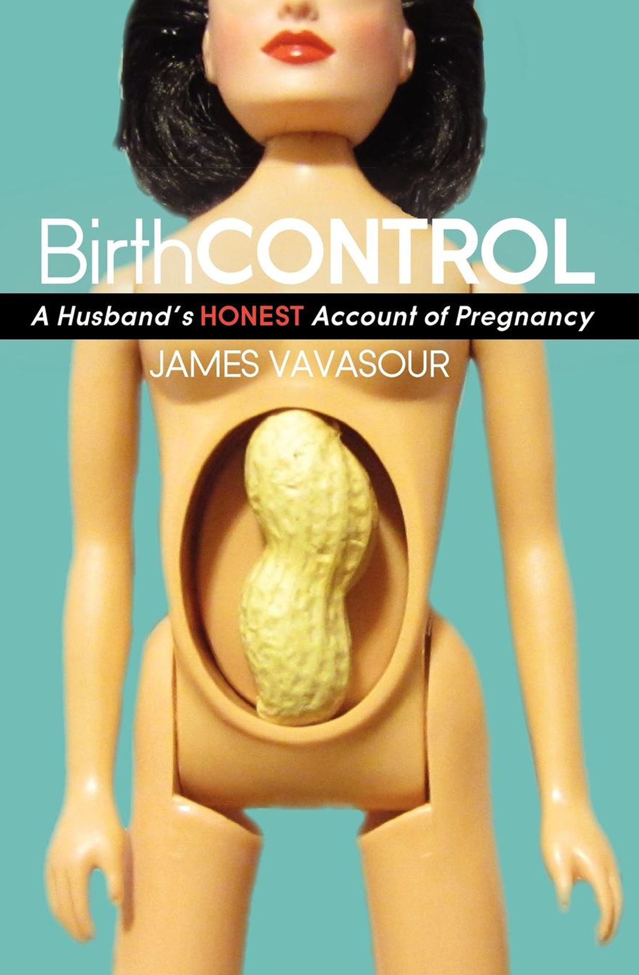 BirthCONTROL: A Husband's Honest Account of Pregnancy