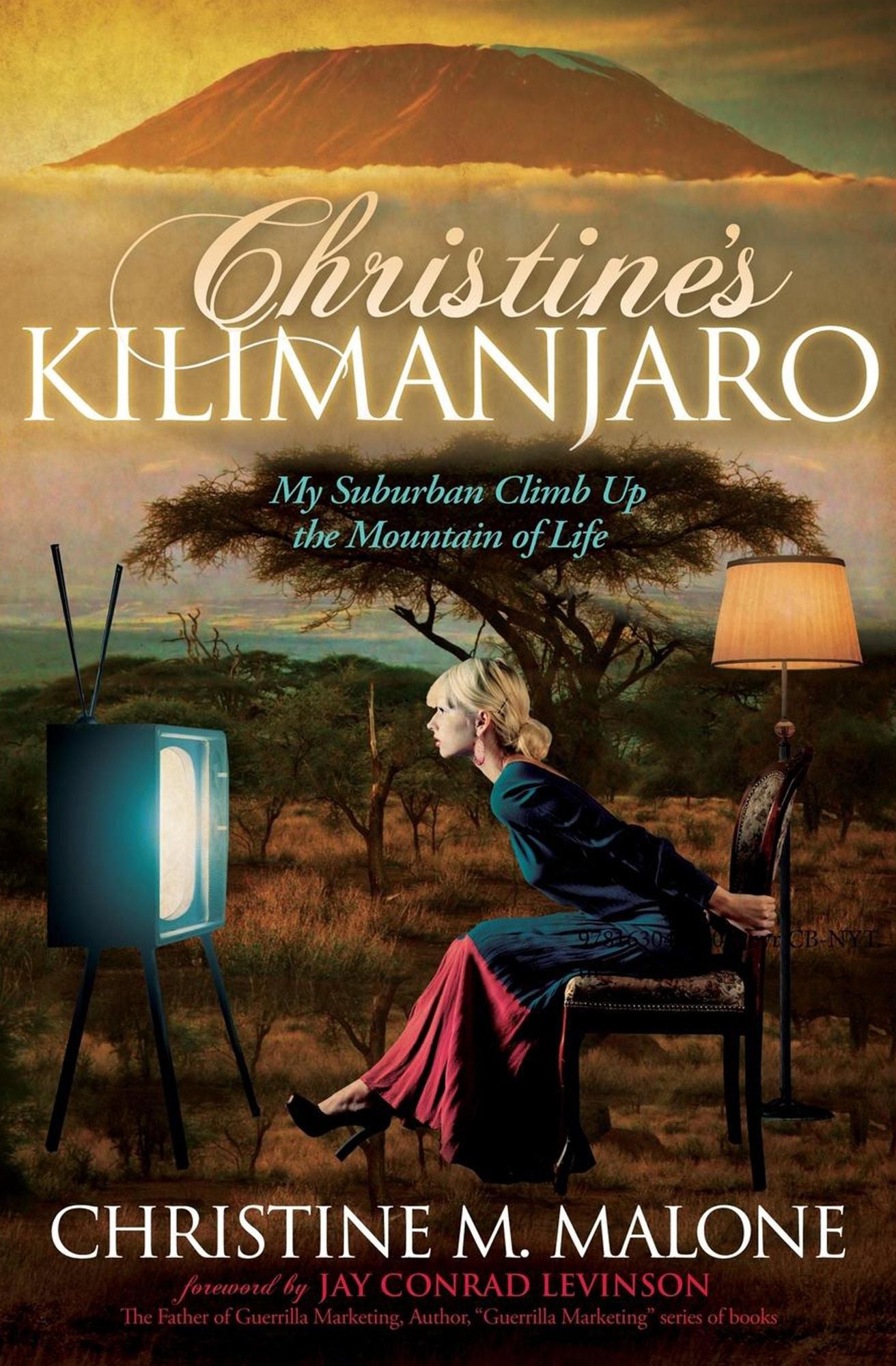 Christine's Kilimanjaro: My Suburban Climb Up the Mountain of Life