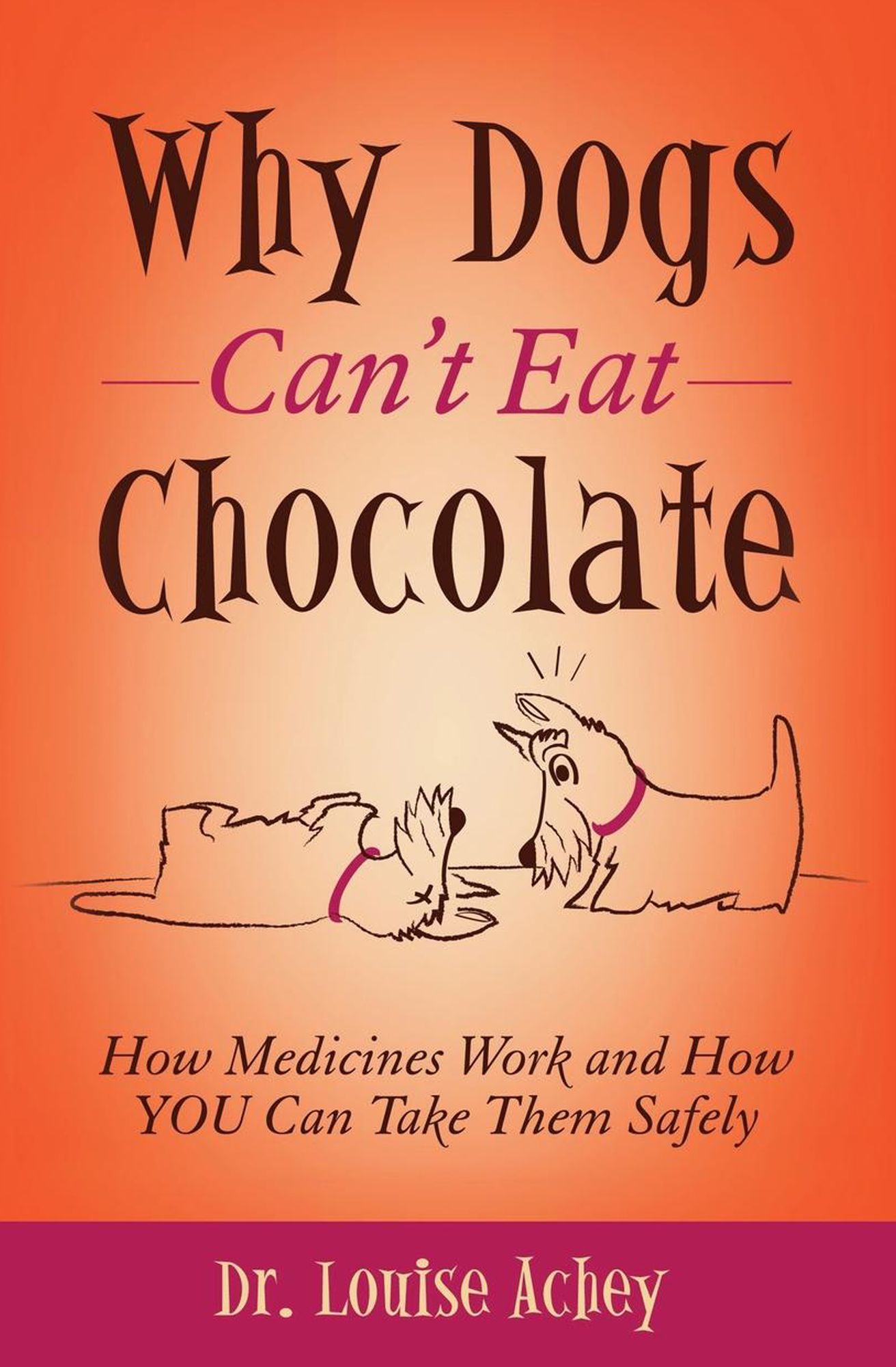 Why Can't Dogs Eat Chocolate: How Medicines Work and How YOU Can Take Them Safely