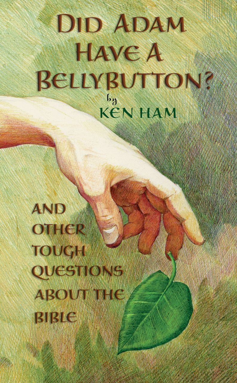 Did Adam Have a Bellybutton?: And Other Tough Questions About the Bible