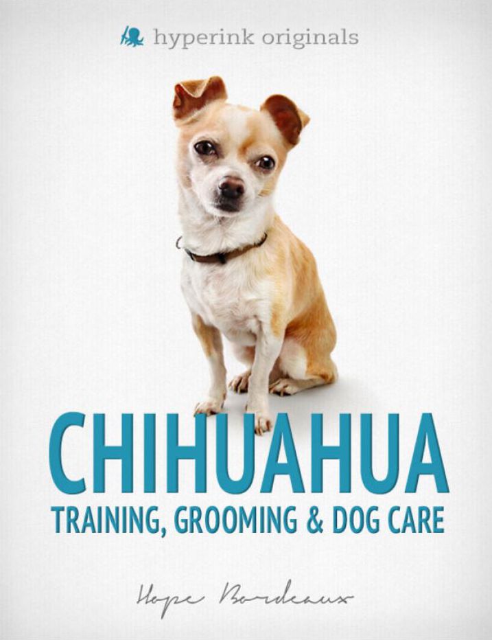 Chihuahua: Training, Grooming, and Dog Care