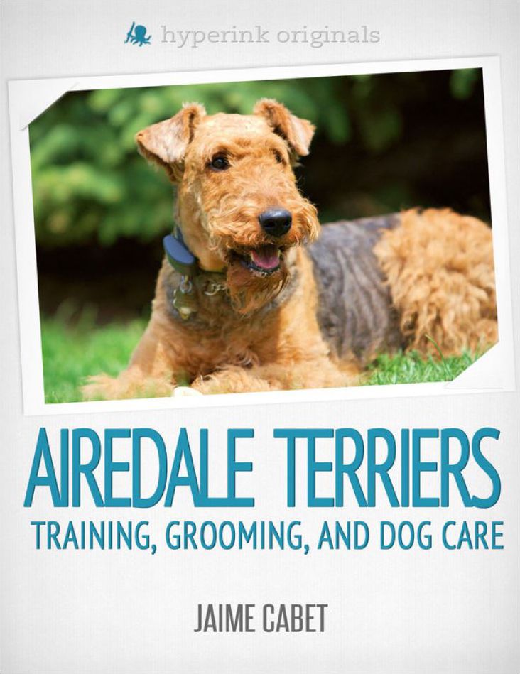 A New Owner's Guide to Airedale Terriers
