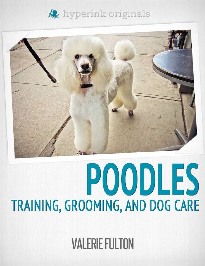 Poodle: Training, Grooming, and Dog Care