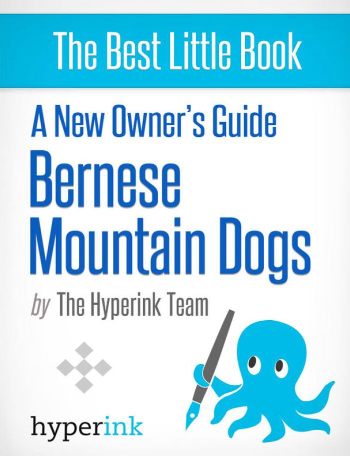 A New Owner's Guide to Bernese Mountain Dogs
