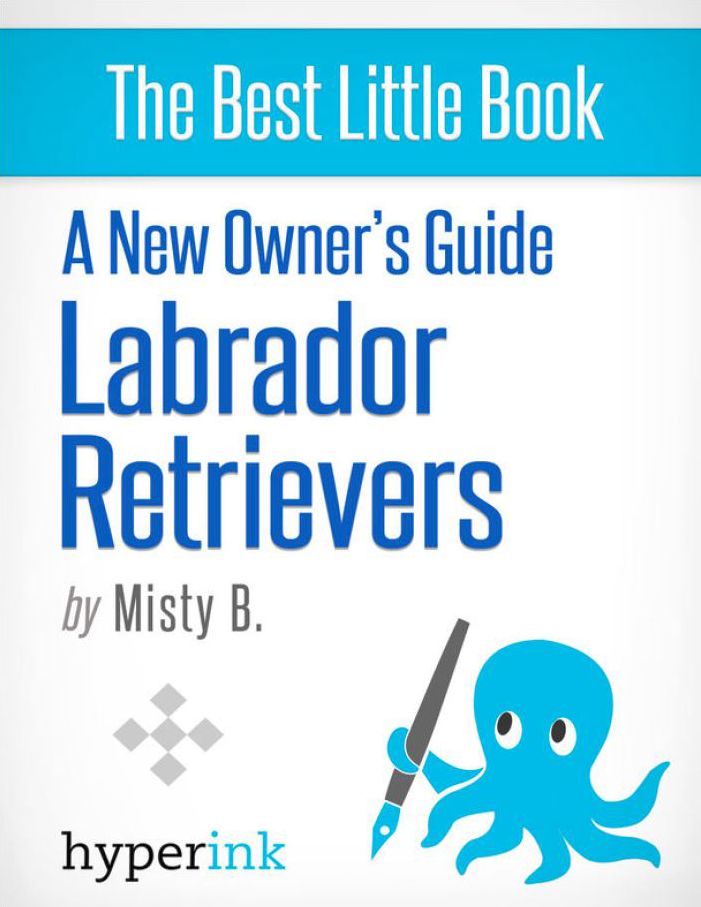 A New Owner's Guide to Labrador Retreivers