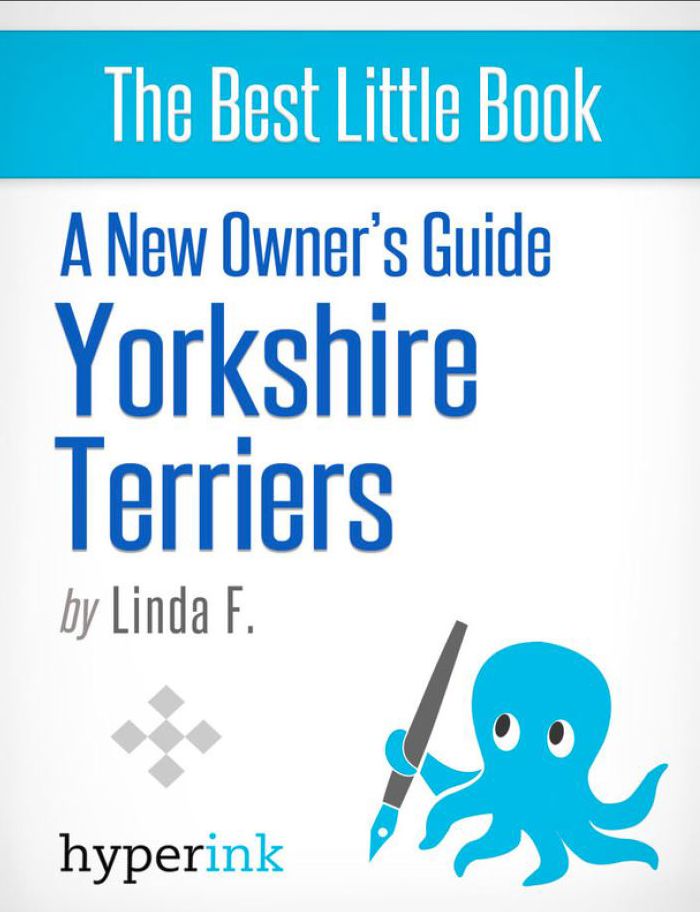New Owner's Guide to Yorkshire Terriers