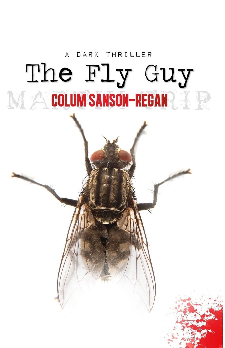 The Fly Guy