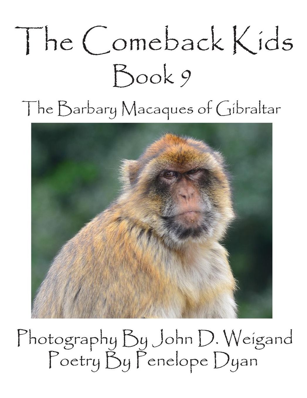 The Comeback Kids -- Book 9 -- The Barbary Macaques Of Gibraltar