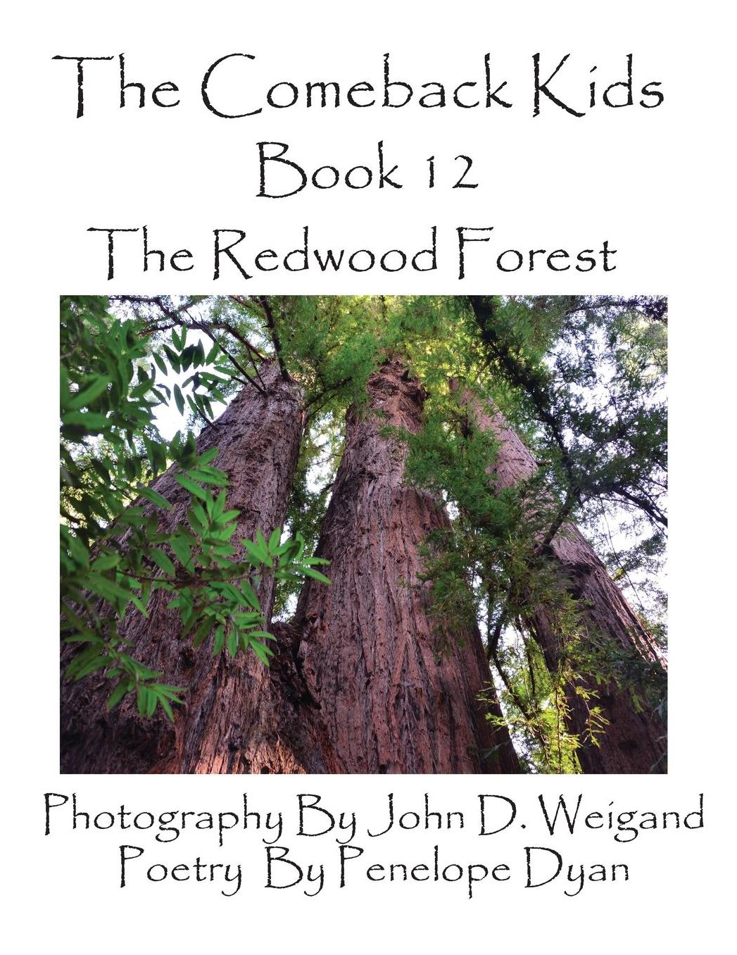 The Comeback Kids, Book 12, The Redwood Forest
