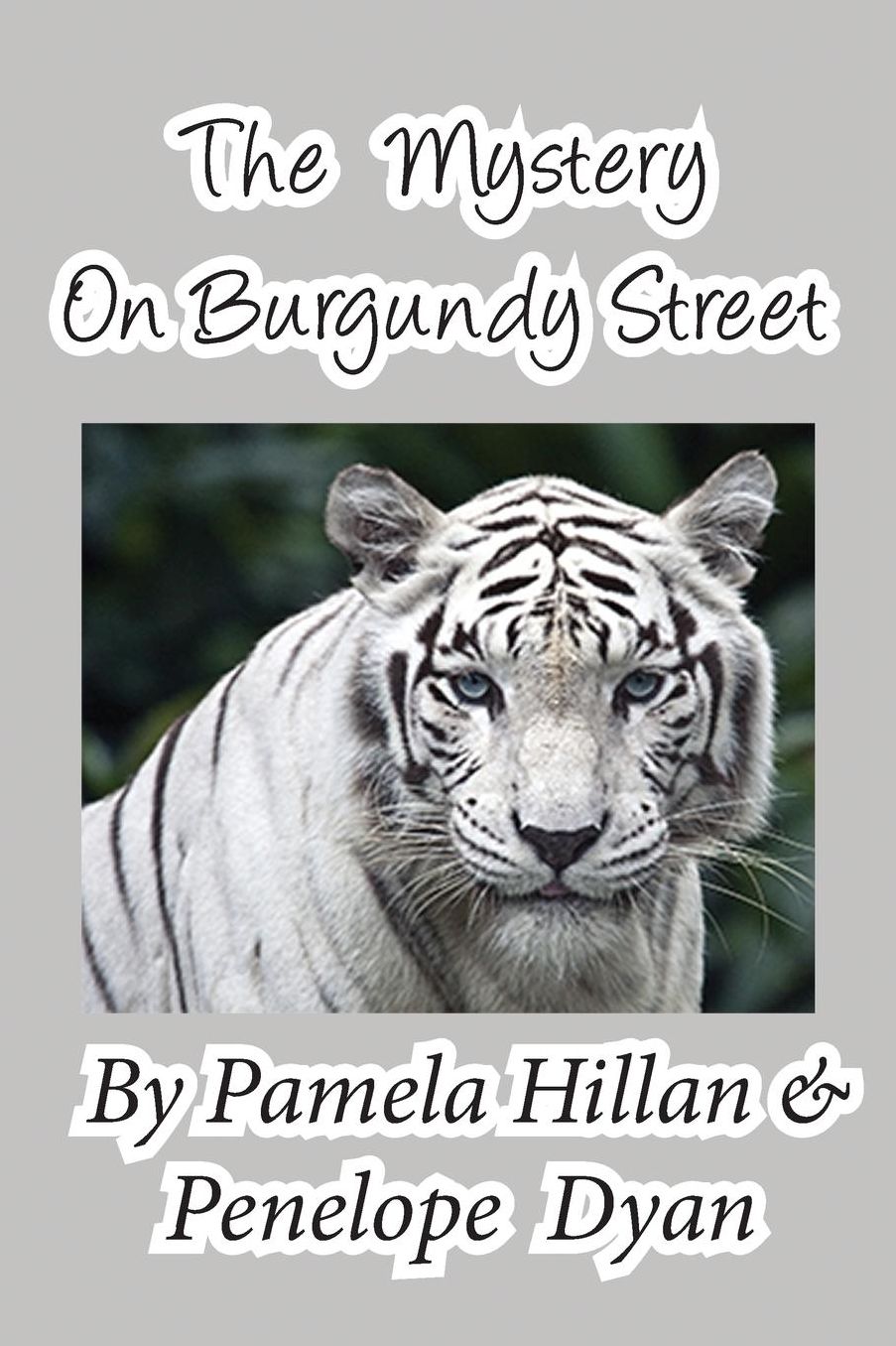 The Mystery On Burgundy Street