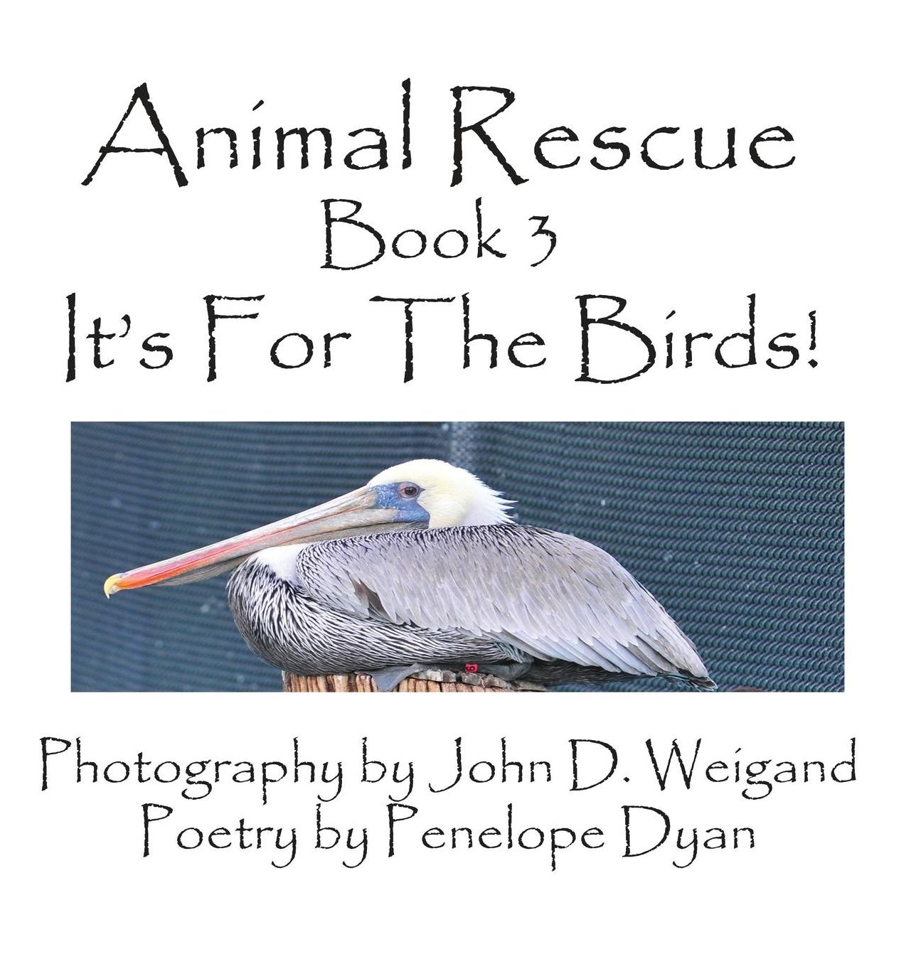 Animal Rescue, Book 3, It's for the Birds!
