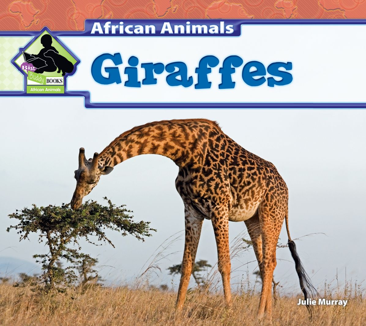 Giraffes eBook