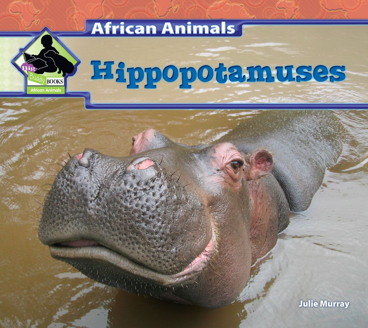 Hippopotamuses eBook