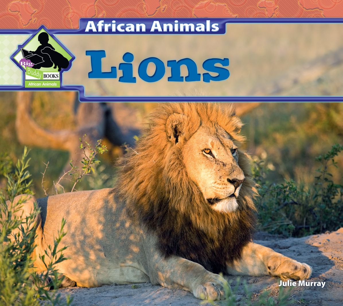 Lions eBook