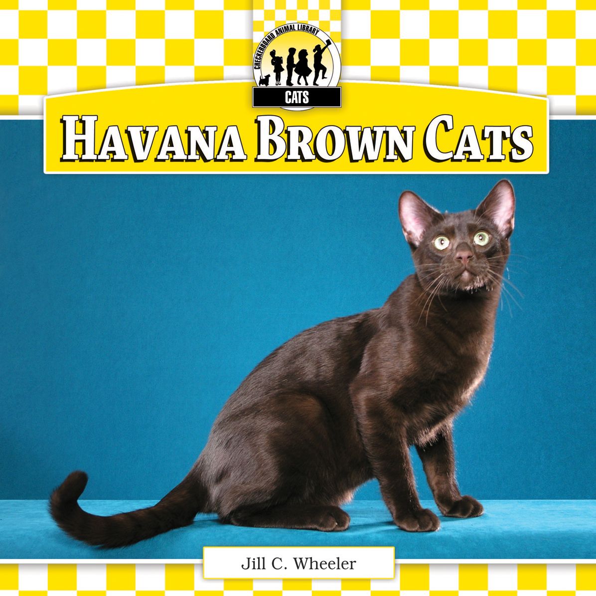 Havana Brown Cats eBook