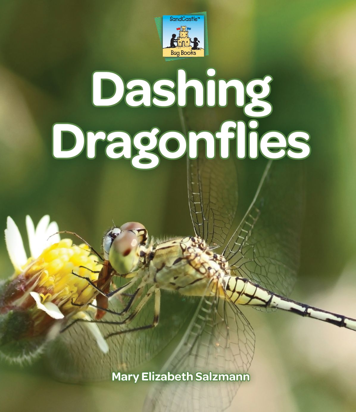 Dashing Dragonflies eBook