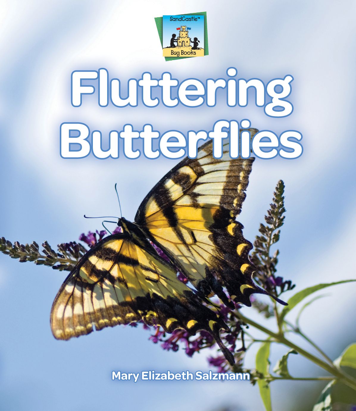 Fluttering Butterflies eBook