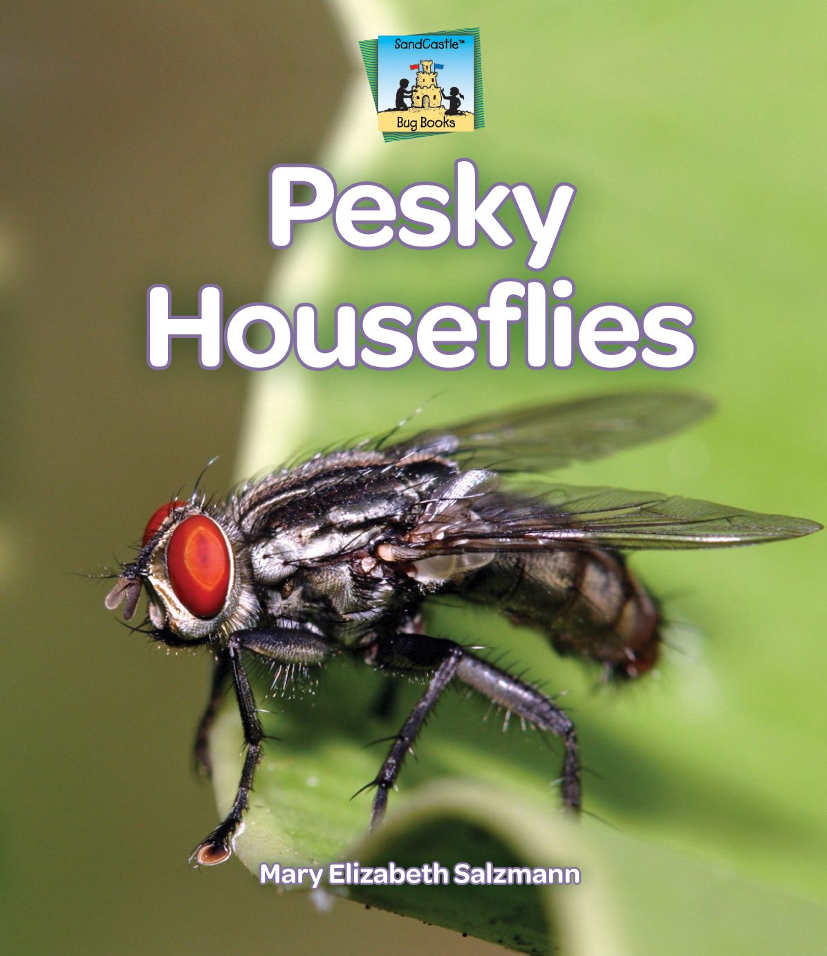 Pesky Houseflies eBook