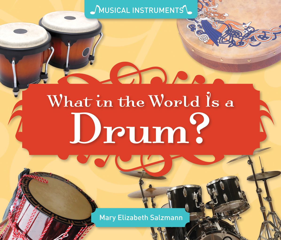 What in the World Is a Drum? eBook