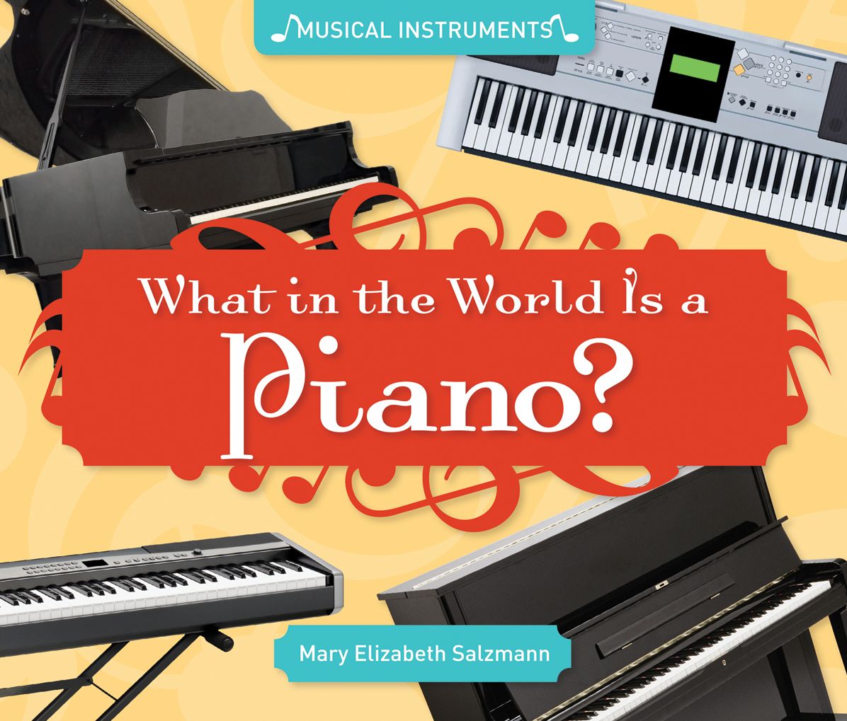 What in the World Is a Piano? eBook