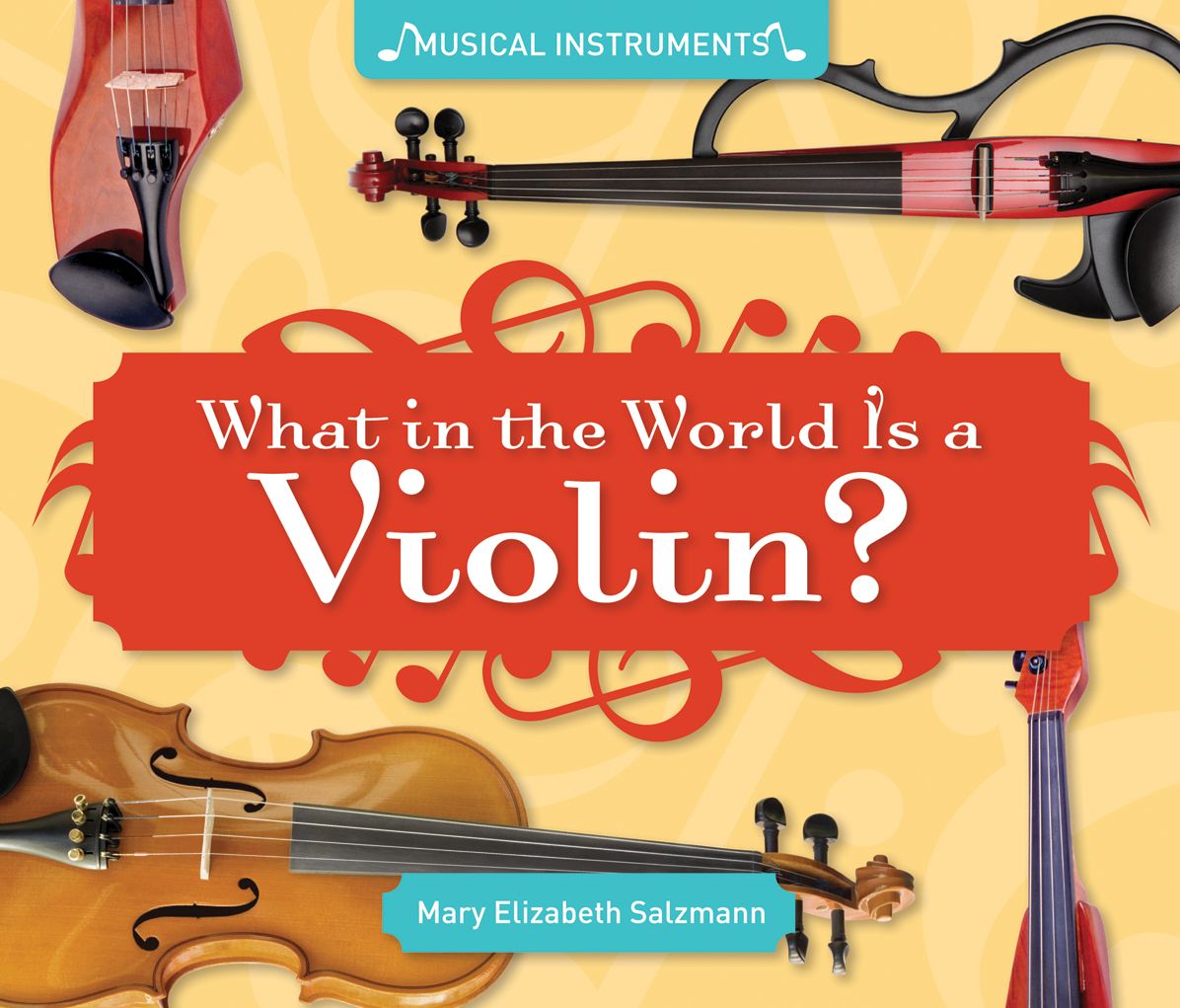 What in the World Is a Violin? eBook