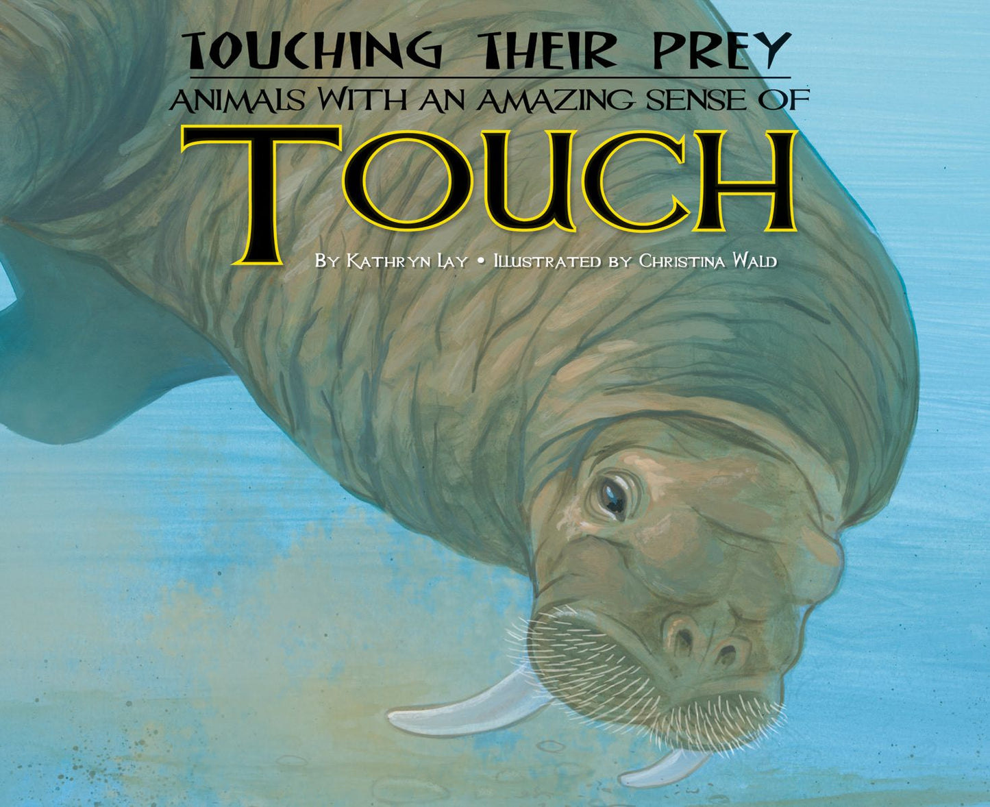 Touching Their Prey: Animals with an Amazing Sense of Touch eBook