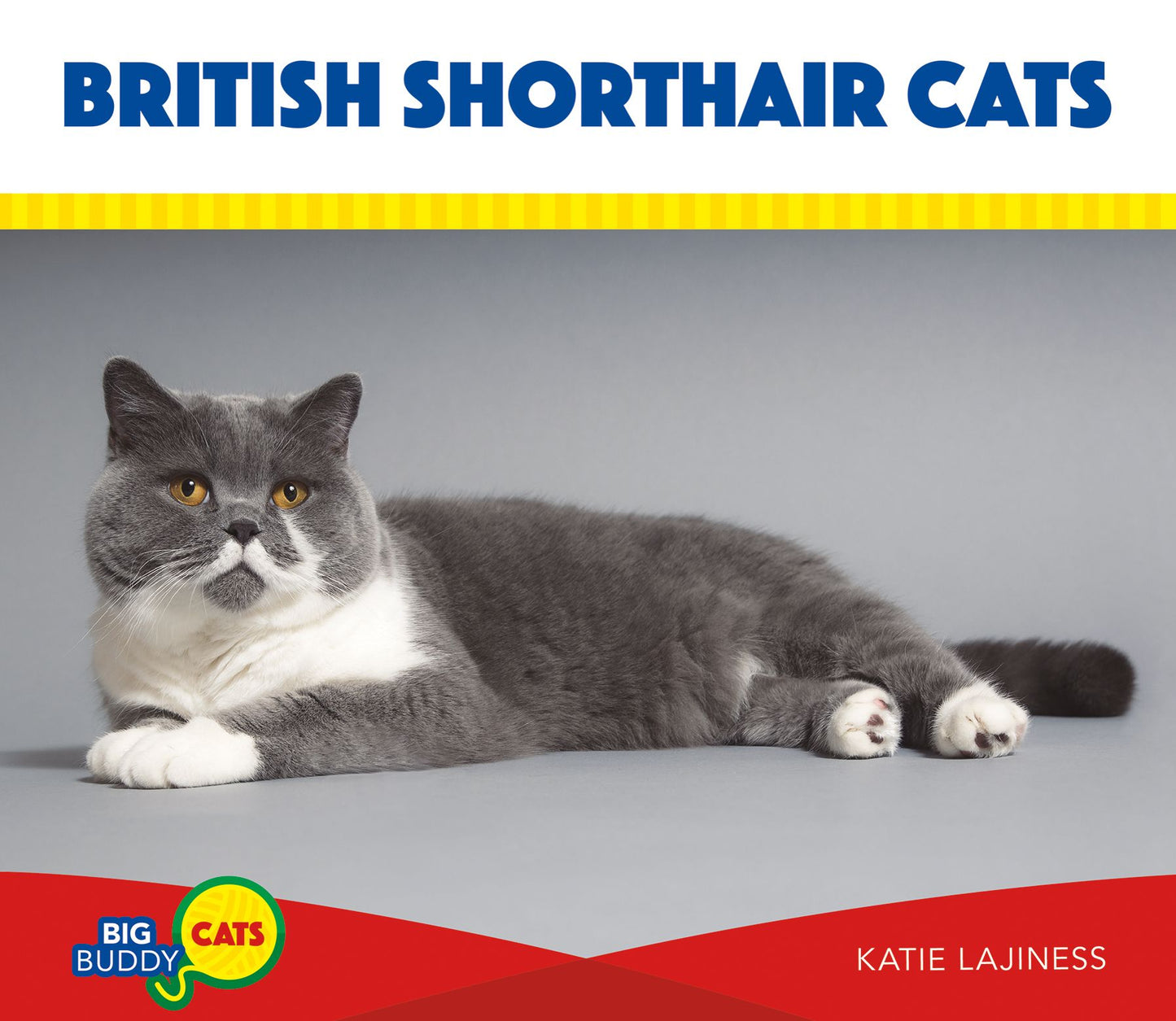 British Shorthair Cats