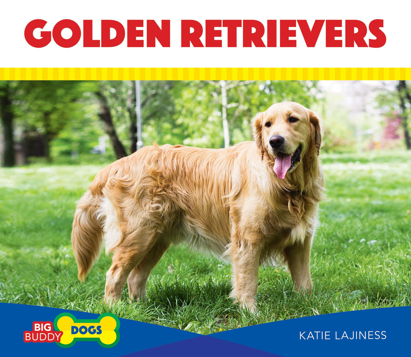 Golden Retrievers